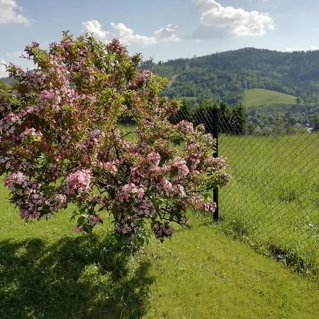 Séjour chez l'habitant Dworek Sylwia *