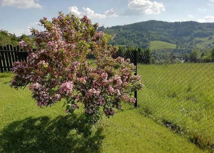 בית אירוח Dworek Sylwia *